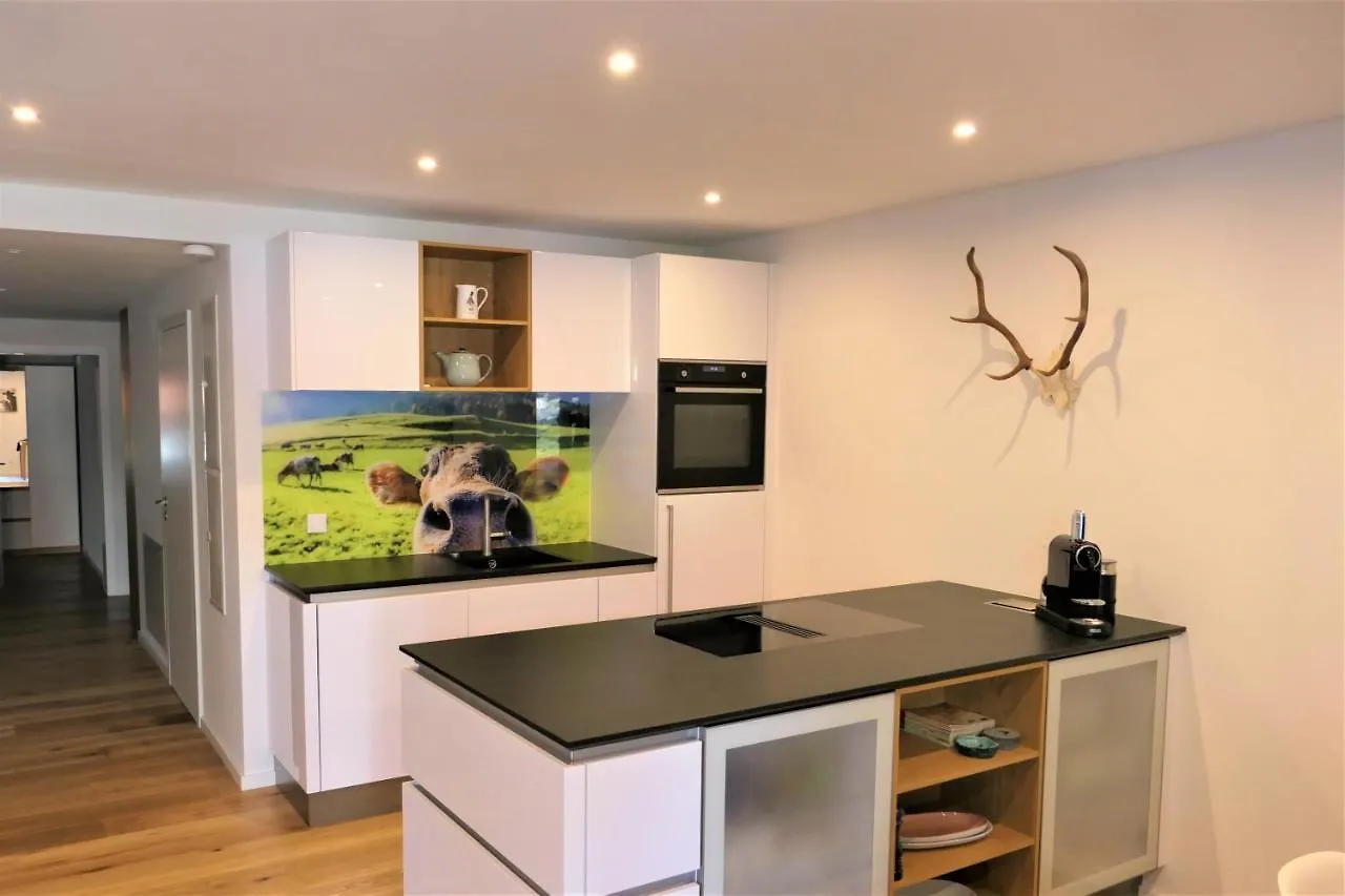 Ferdis Lodge Reit im Winkl Daire