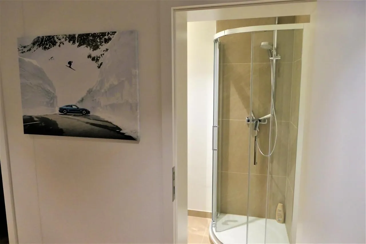 Ferdis Lodge Reit im Winkl Daire
